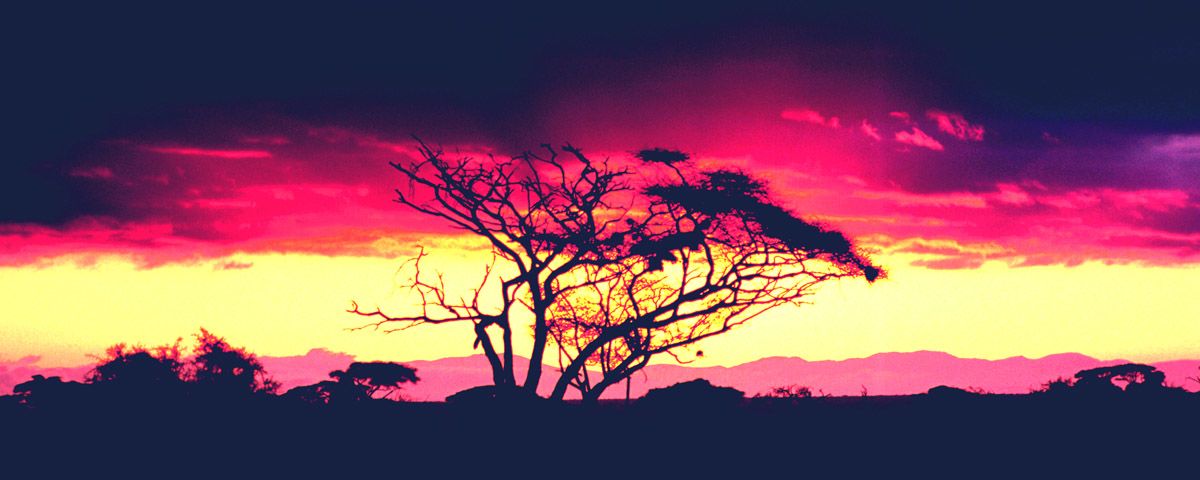Amboseli Sunset
